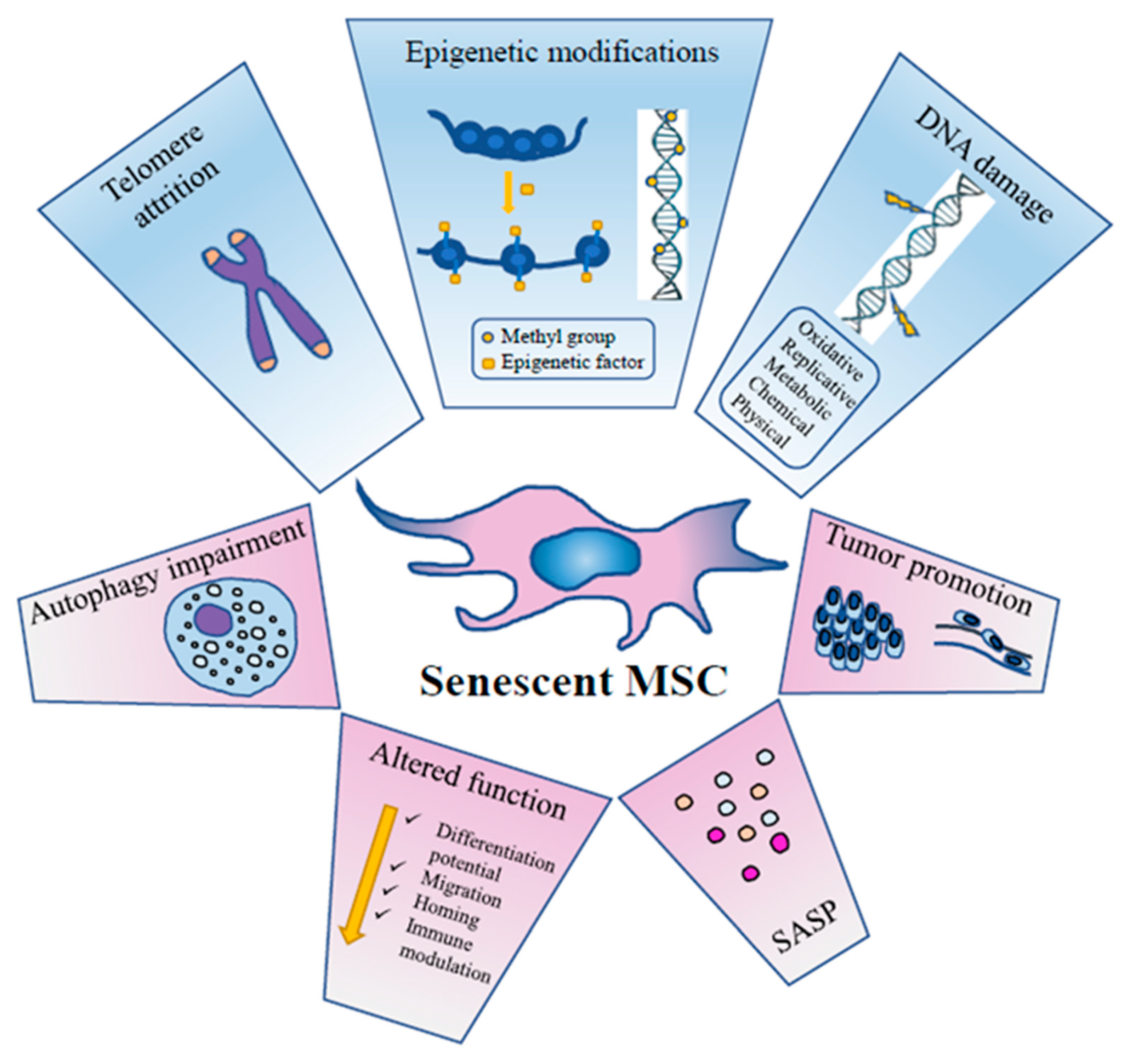 biomolecules-10-00340-g001