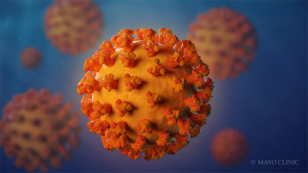 coronovirus-8col